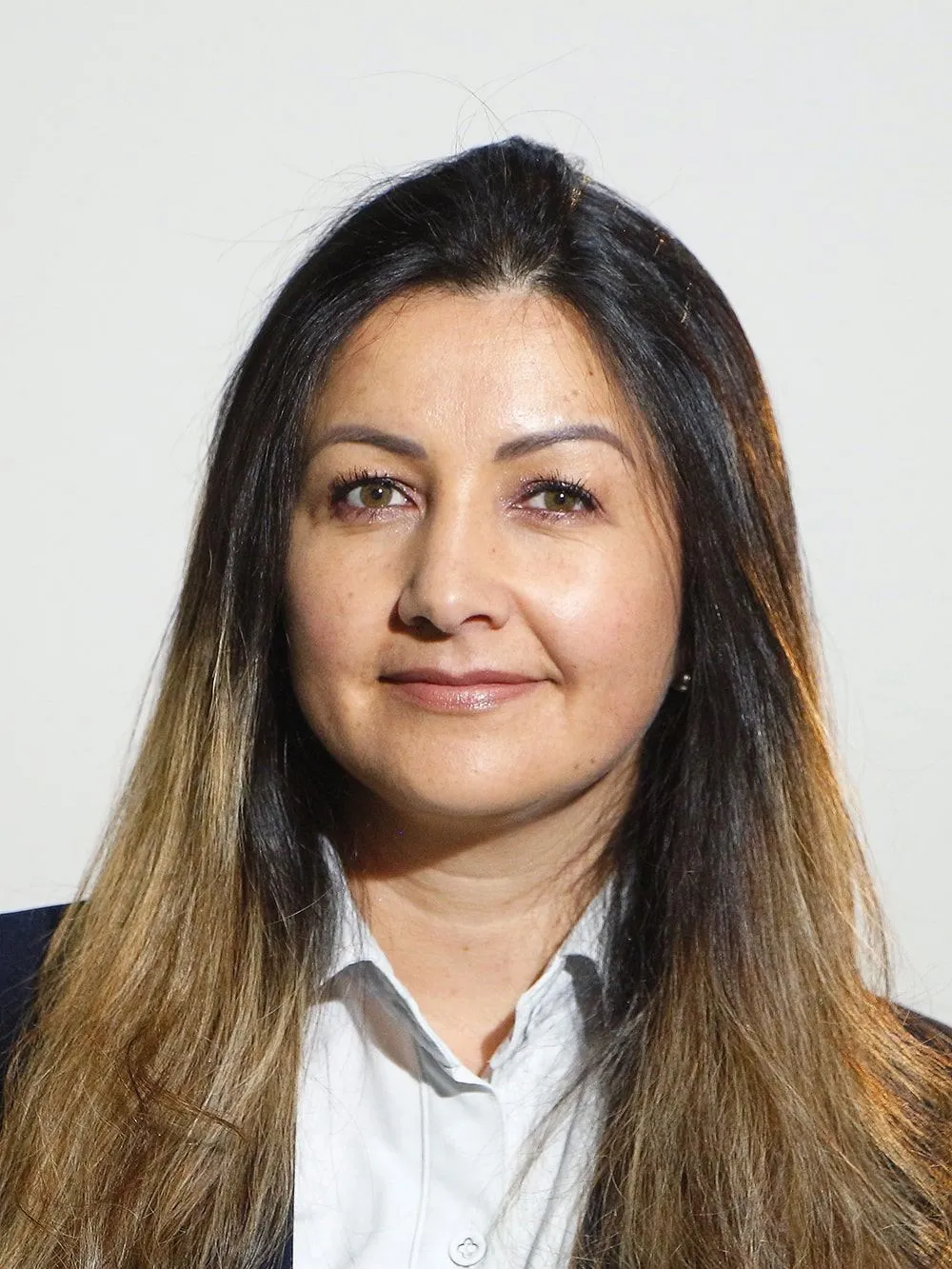 Lady Diana Bohorquez Hernández